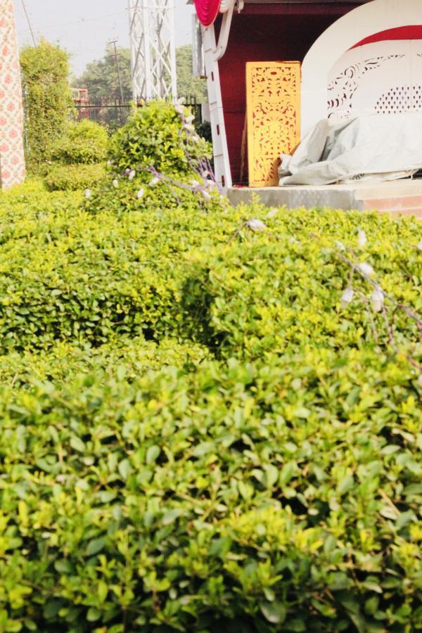 Vinayak Palace Hotel Mathura Exterior foto